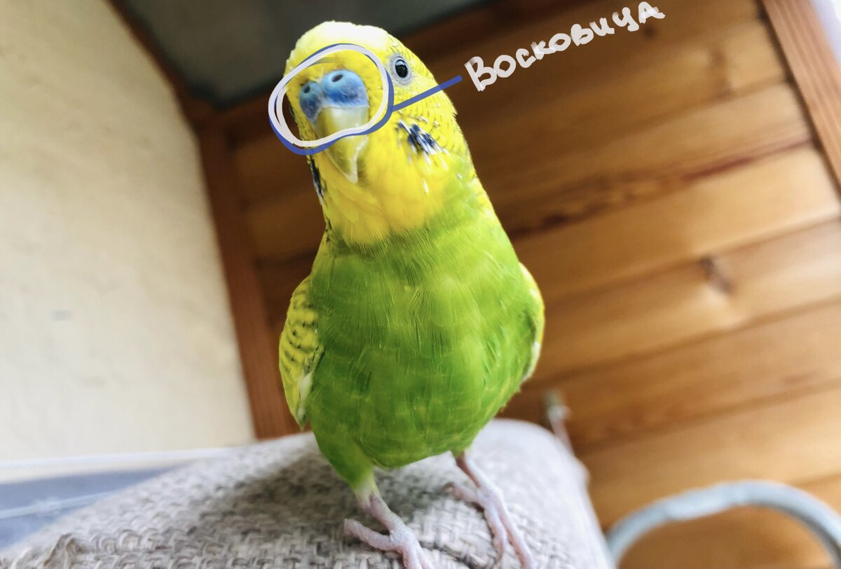 Наглядный пример, Тэри.  