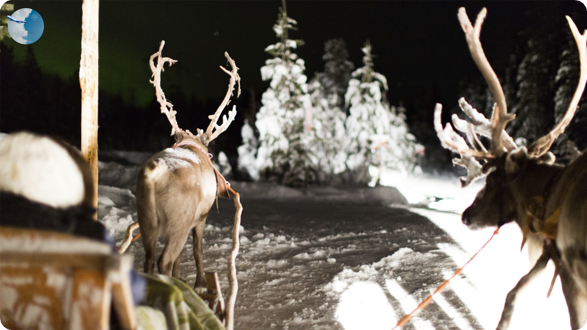 Автор фото: https://unsplash.com/@ozgut