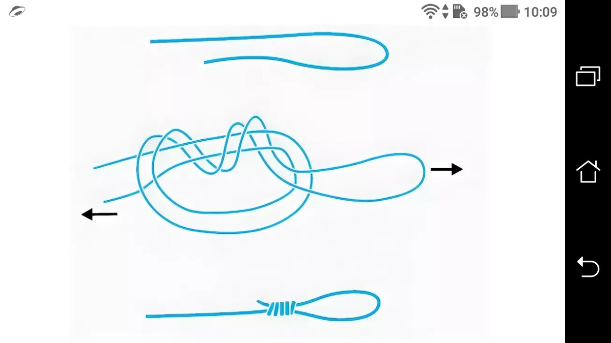 Как завязать петлю на леске для поводка