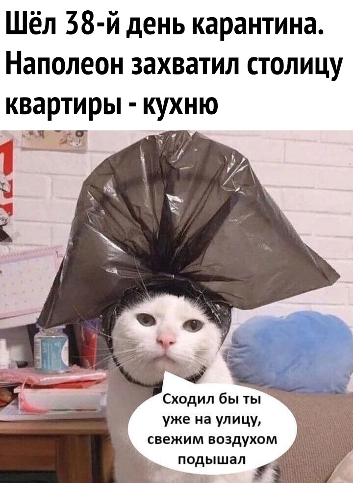 Взято из открытых источников.