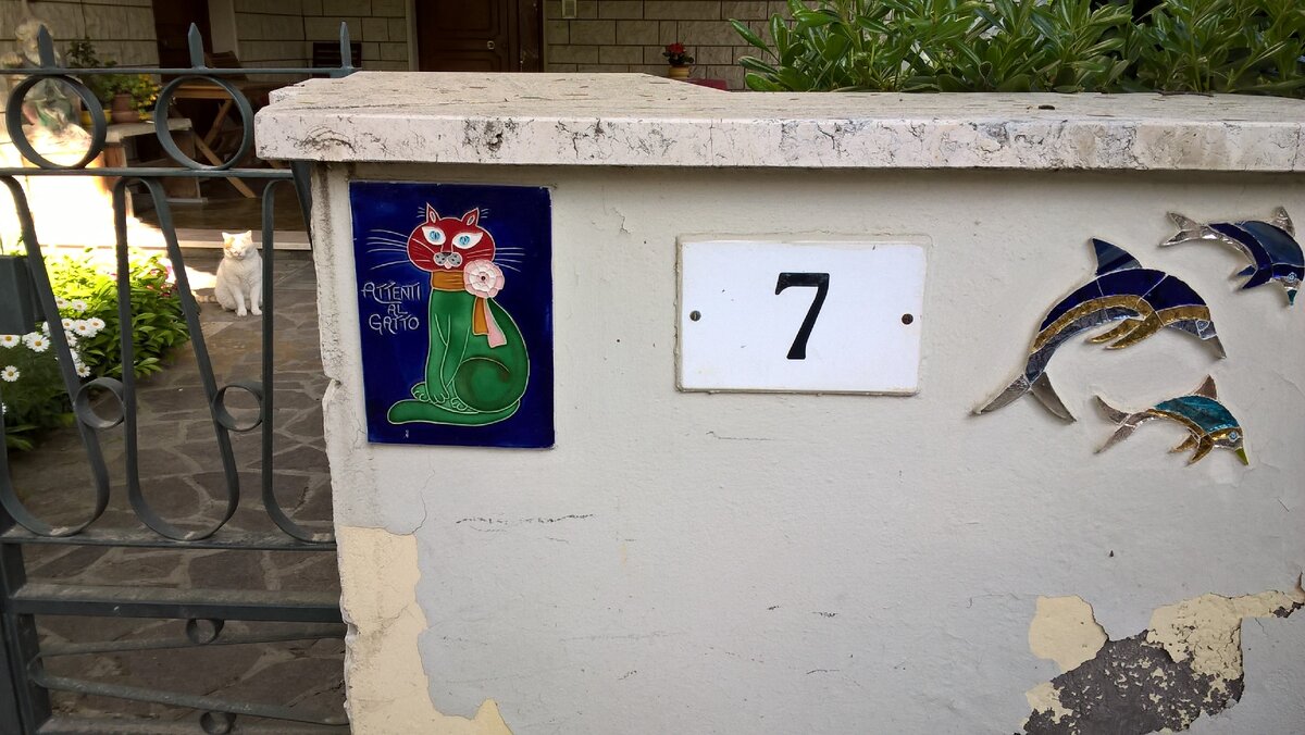 ATTENTI AL GATTO - остерегайтесь кошки - надпись на ограде))