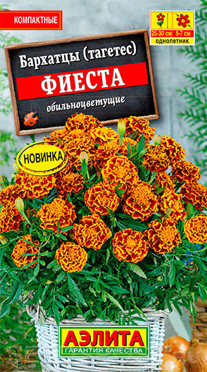 Источник фото: seedspost.ru