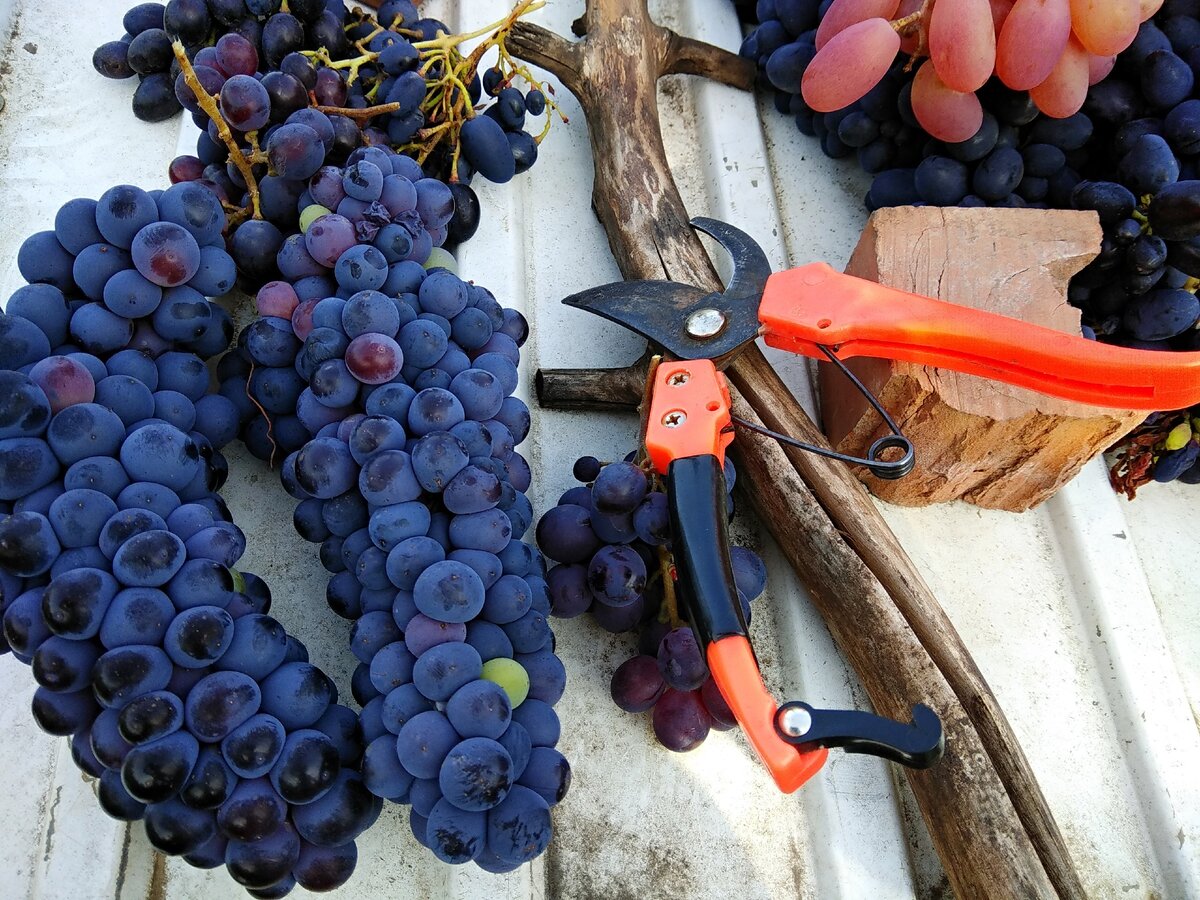 Моя любимая фотография