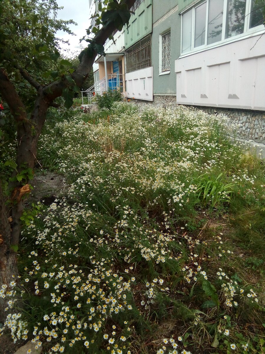 ОДин из дворов на улице Высоцкого