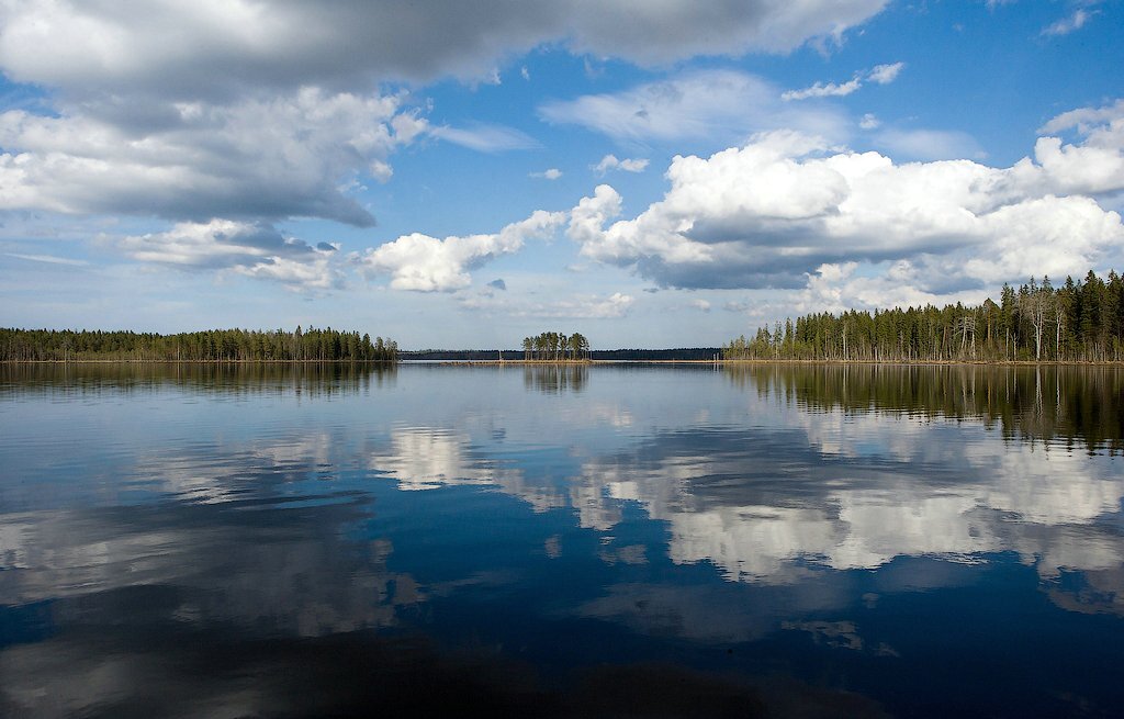 Автор фото не известен. Знаете его? Сообщите об этом в комметариях