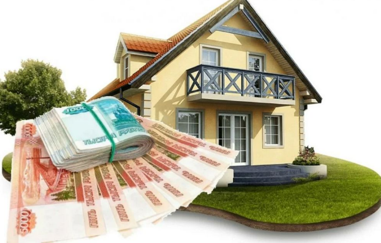 Фотография взята из источника novo-plat.ru