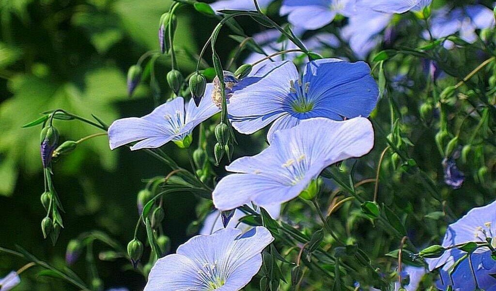 Небо опустилось на землю