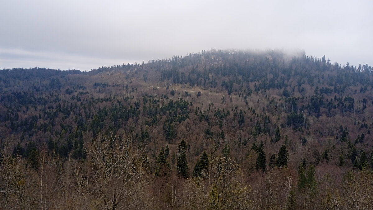 Набухшее небо было таким непроглядным, что его не удалось запечатлеть, а на фото уже более свободное от туч пространство