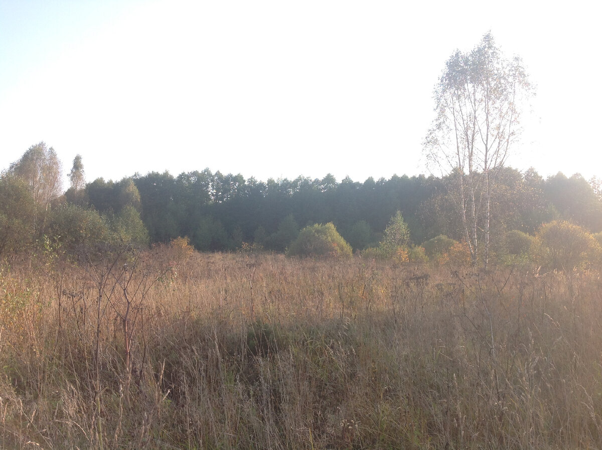 Затерянный Мир прошлой осенью - нового фото пока нет