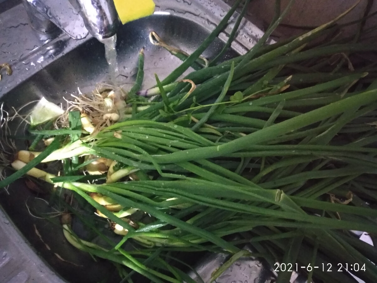 Перемыла  все перья