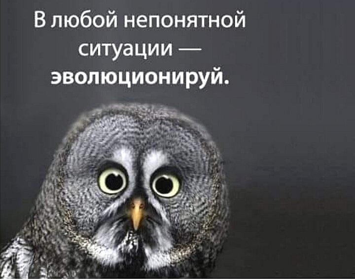 Извлекайте пользу в любой ситуации... 