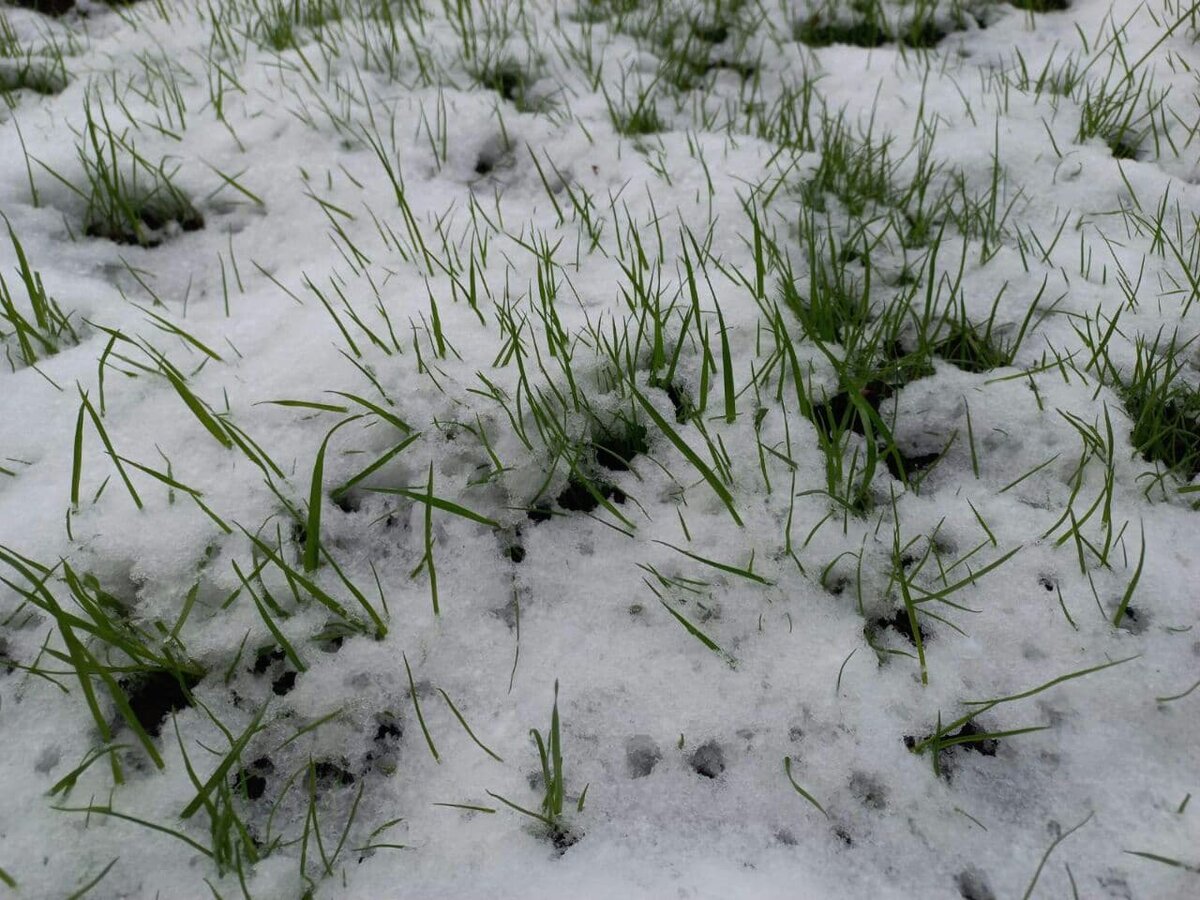 Фото автора.