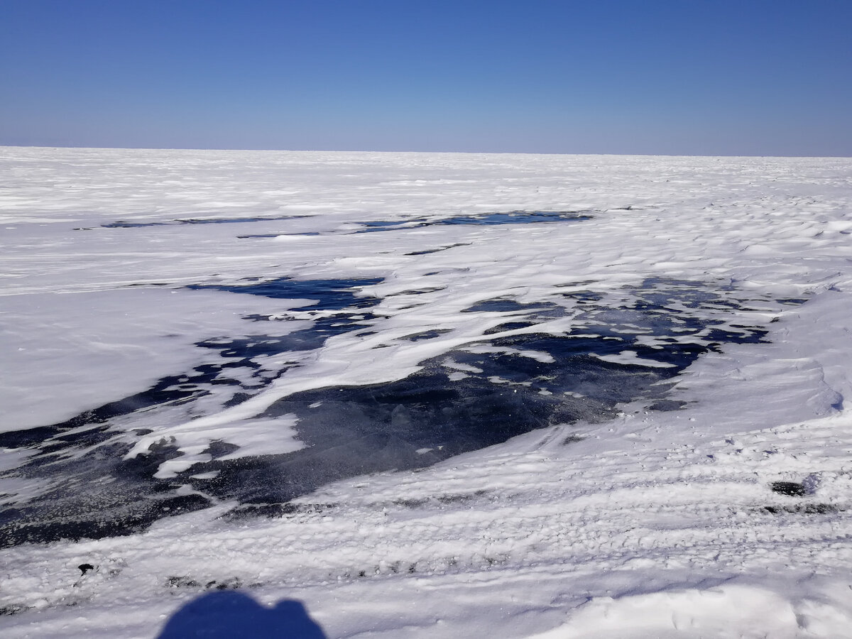 Почему глубокие водоемы зимой не промерзают до дна