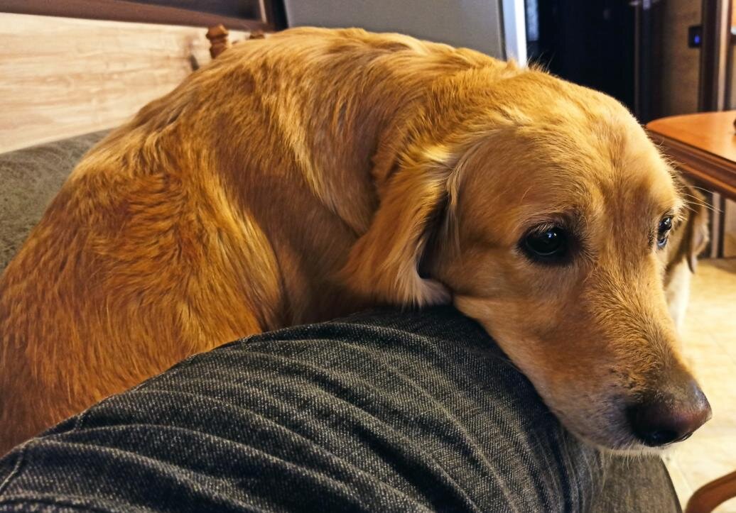 Лялю обвинили в толстости и она переживает