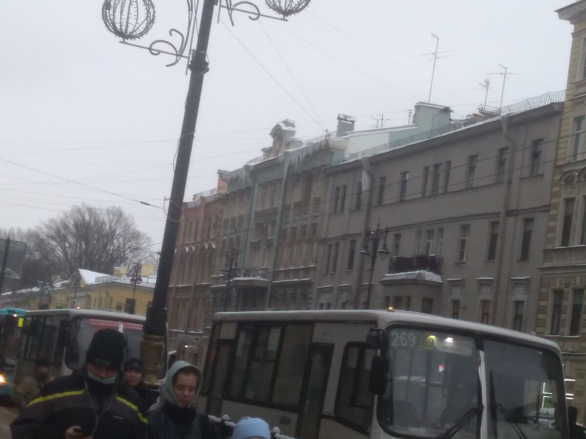 Наше сосулечное царство