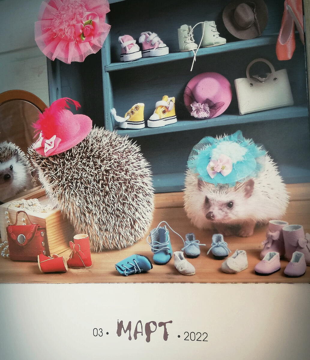 Фото домашнего календаря (автор ёжиков - Eremina Elena)