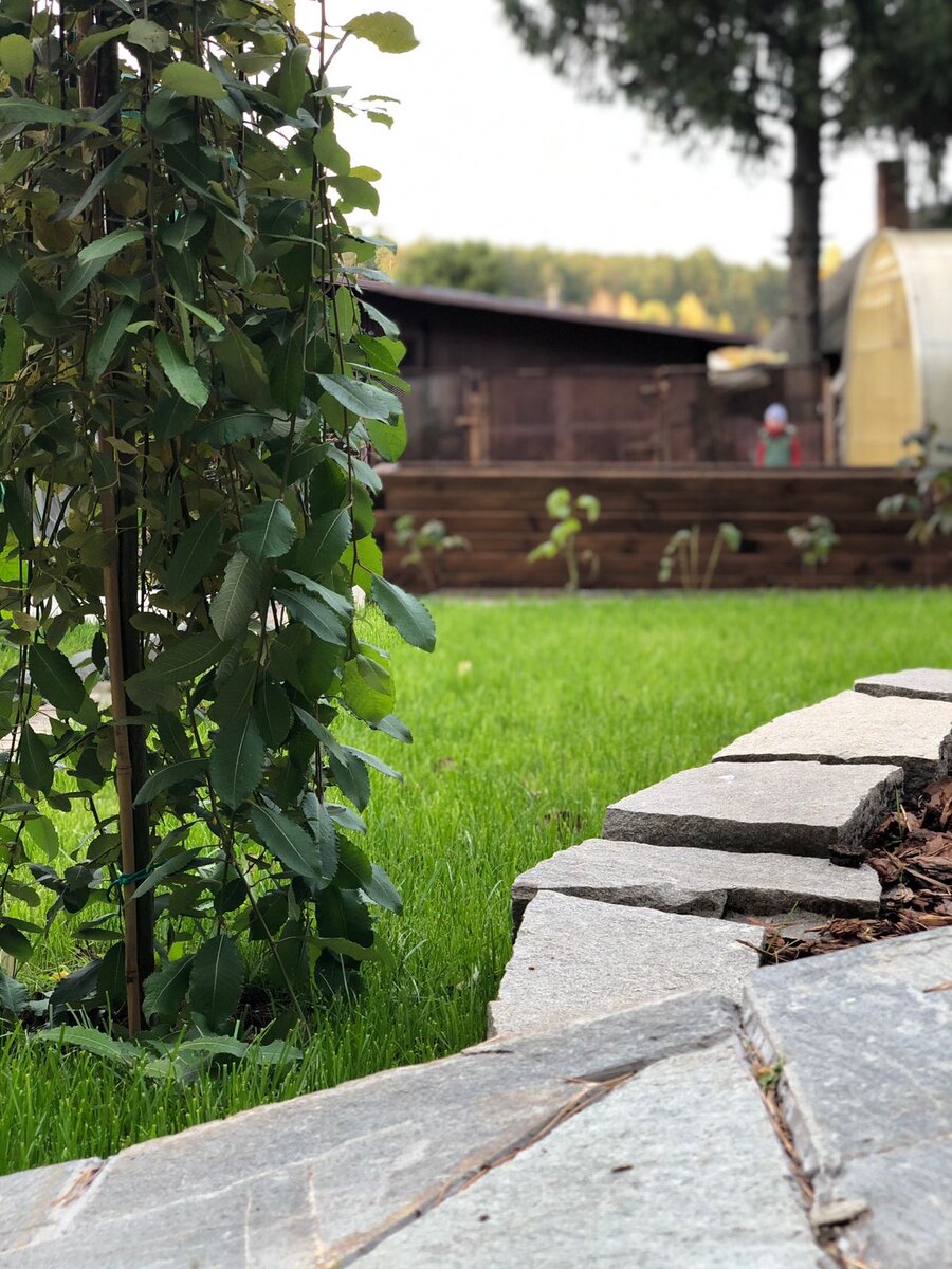 Реализованный проект по реконструкции старого сада