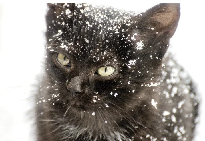 Добавьте описание