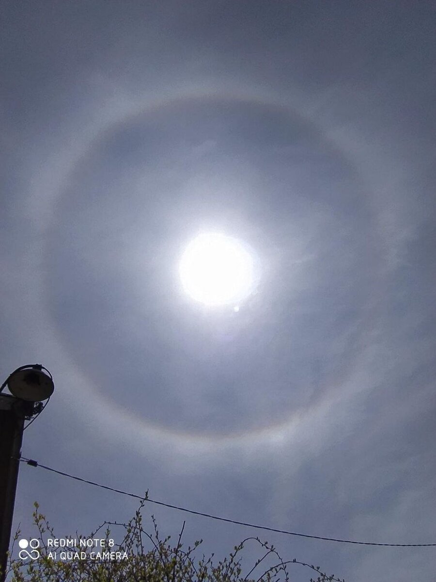     Солнечное гало в Дальнереченске.  Социальные сети