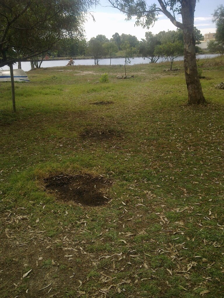 Опять греческий пляж для аборигенов. Опять, как в Дубне. Кострища, мангалы, места для отдыха, лодки и мусор.