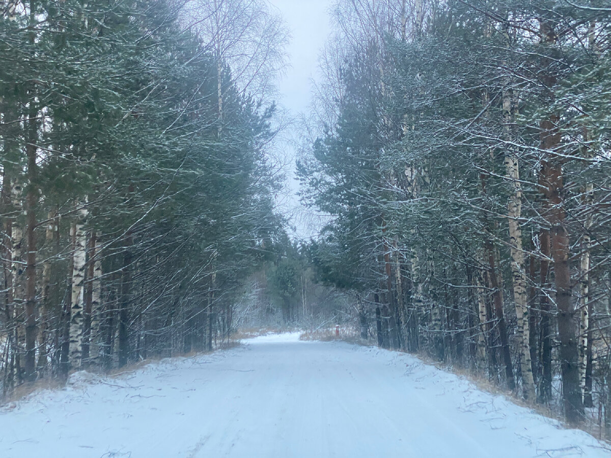 Грунтовая дорога зимой