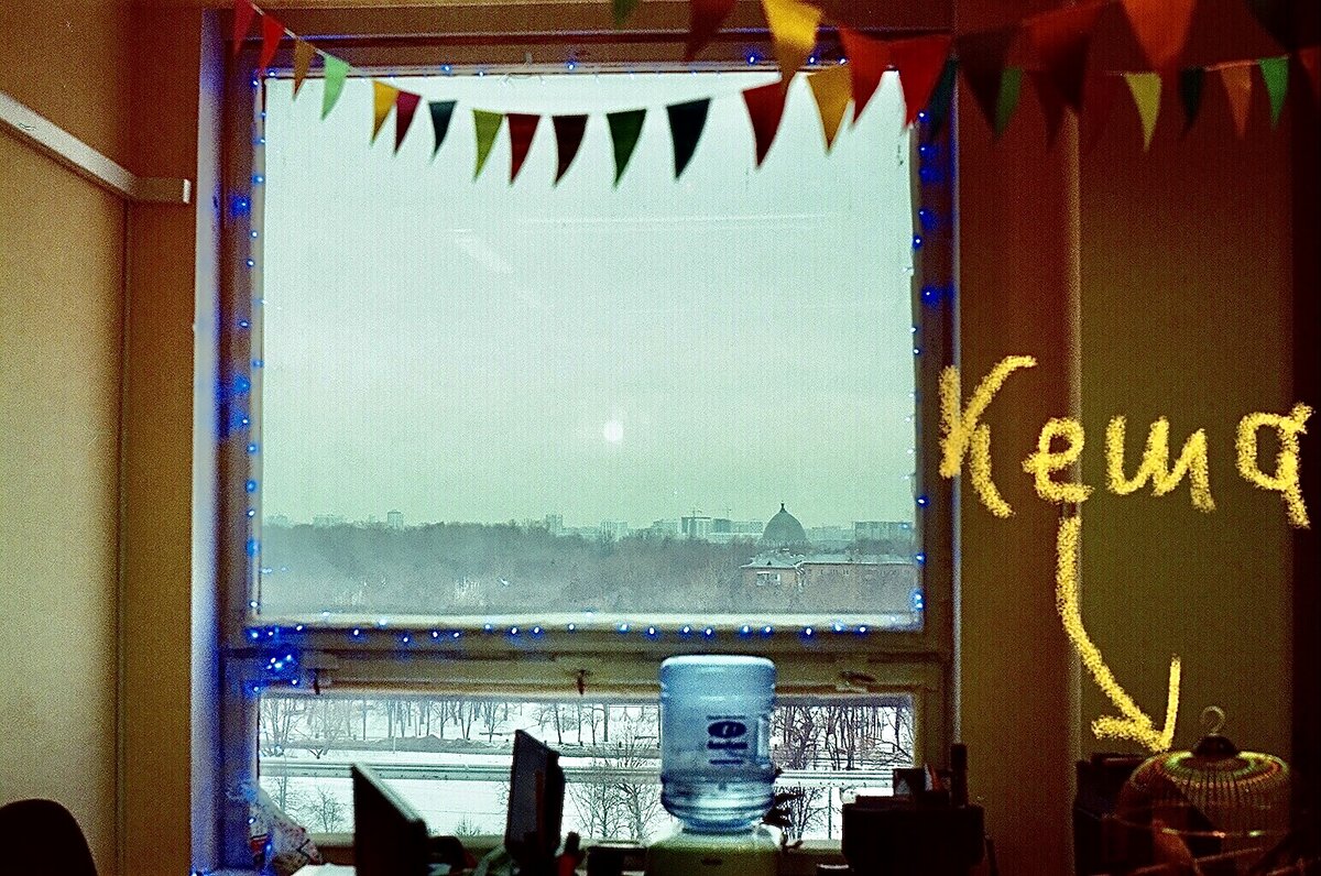 Кеша в офисе, снято на плёнку 35 мм