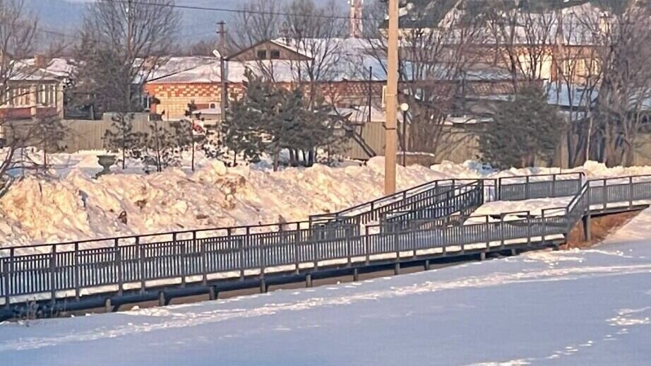     В поселке Корфовский Хабаровского района открыли сквер ветеранов. Он является частью набережной им. генерал-губернатора Приамурского края Андрея Николаевича Корфа, благоустройство которой ведется с 2019 года в рамках федерального проекта «Формирование комфортной городской среды»