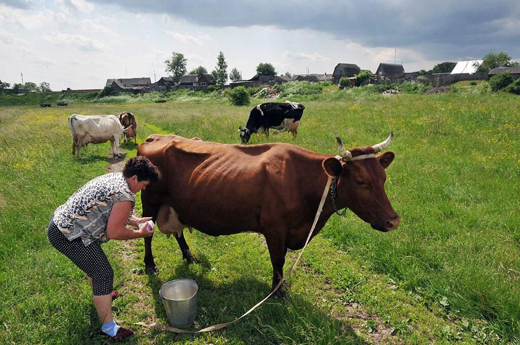 Хозяйство в деревне