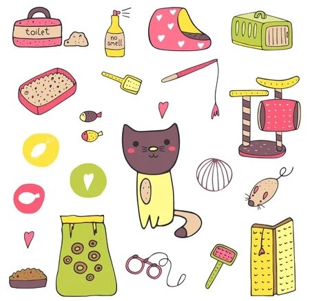 Фото из открытых источников.