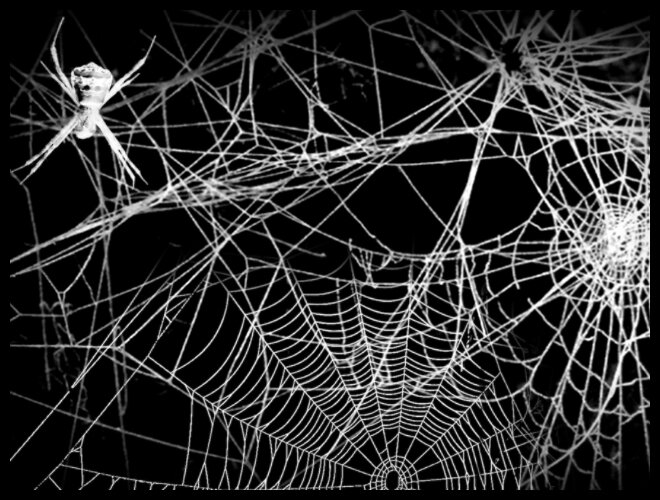 Цифра 5 человек паук. Цифра 5 человек паук. Готическая паутина. Цифры в паутине. Цифра 5 человек паук.