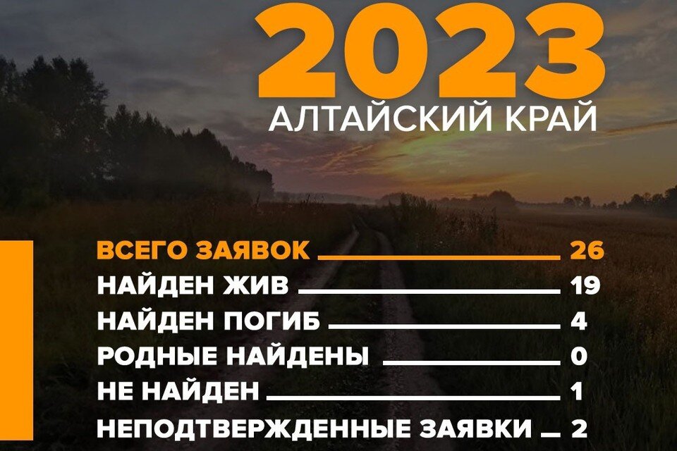     Скриншот со страницы vk.com/la_altay  ДПСО "ЛизаАлерт"