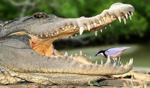 фото из интернета