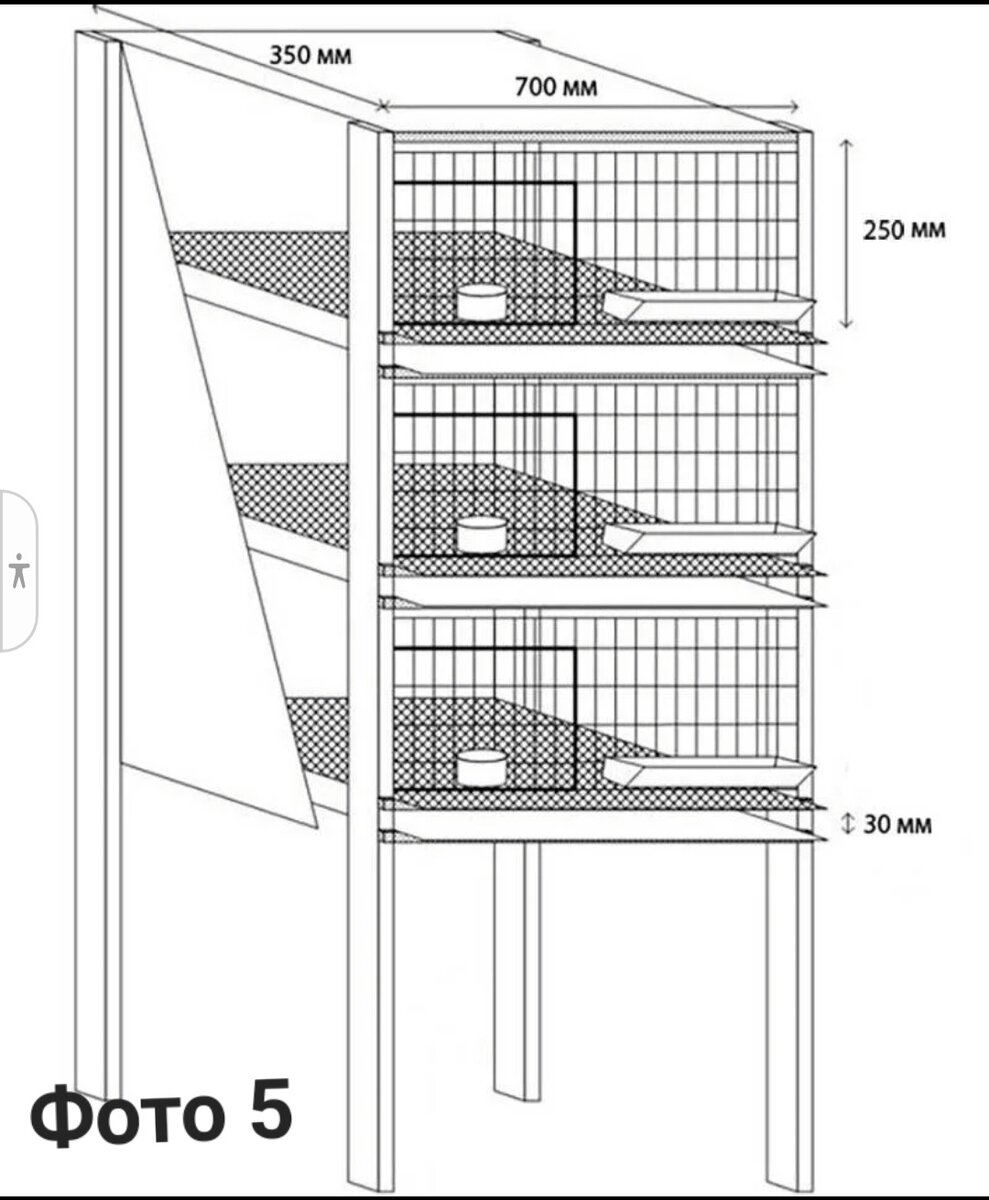 Размер клетки на 50 перепелов. Чертеж клетки для кур бройлеров. Трехъярусная клетка для перепелов чертеж. Клетка для перепелов чертеж. Схема клетки для перепелов с размерами.