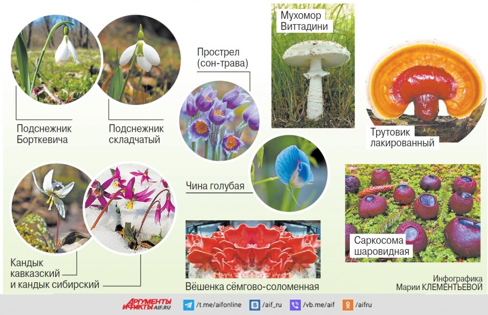    Нажмите для увеличения