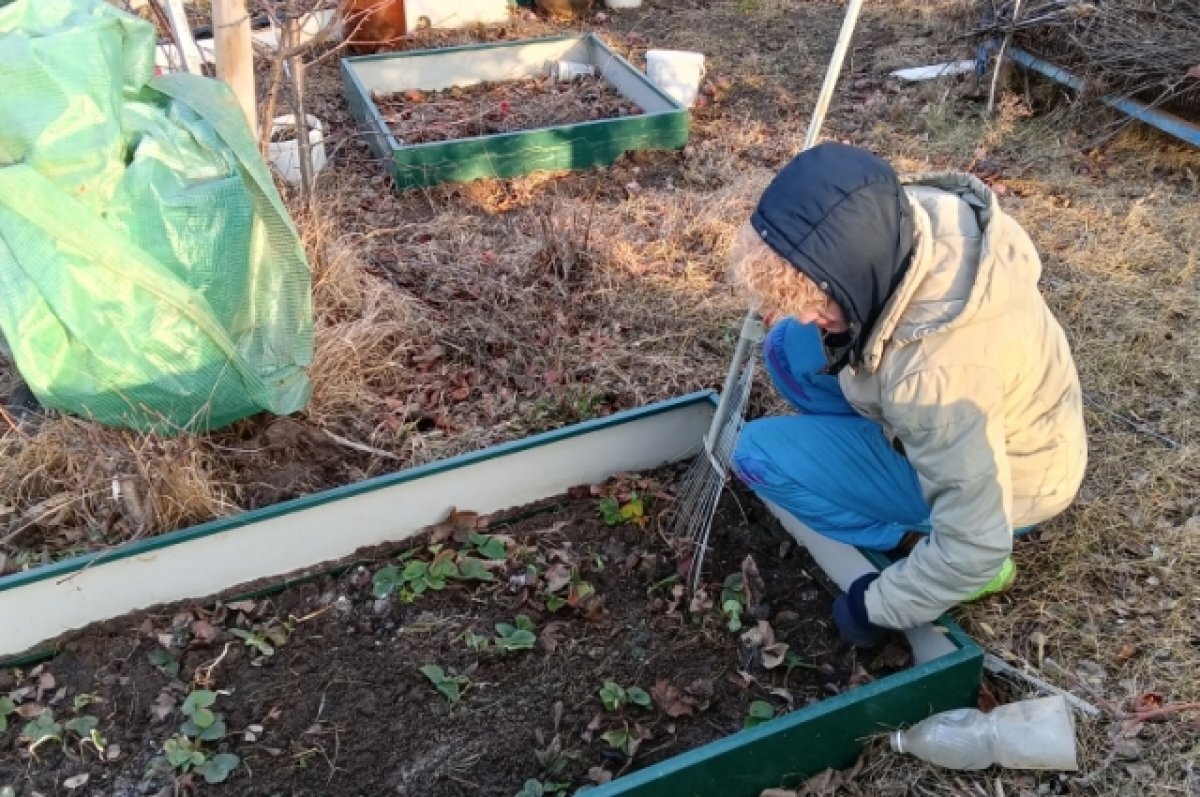    Ранняя весна радует дачников, но нельзя забывать про безопасность.