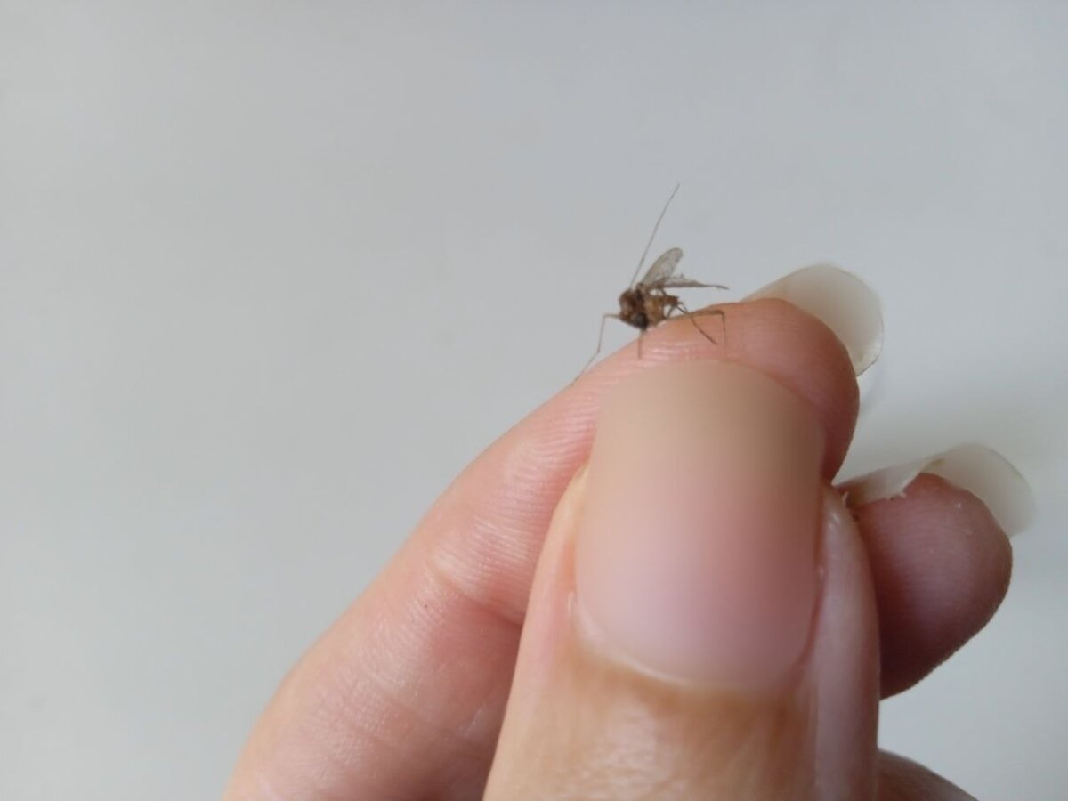 Выбор правильной одежды и обуви