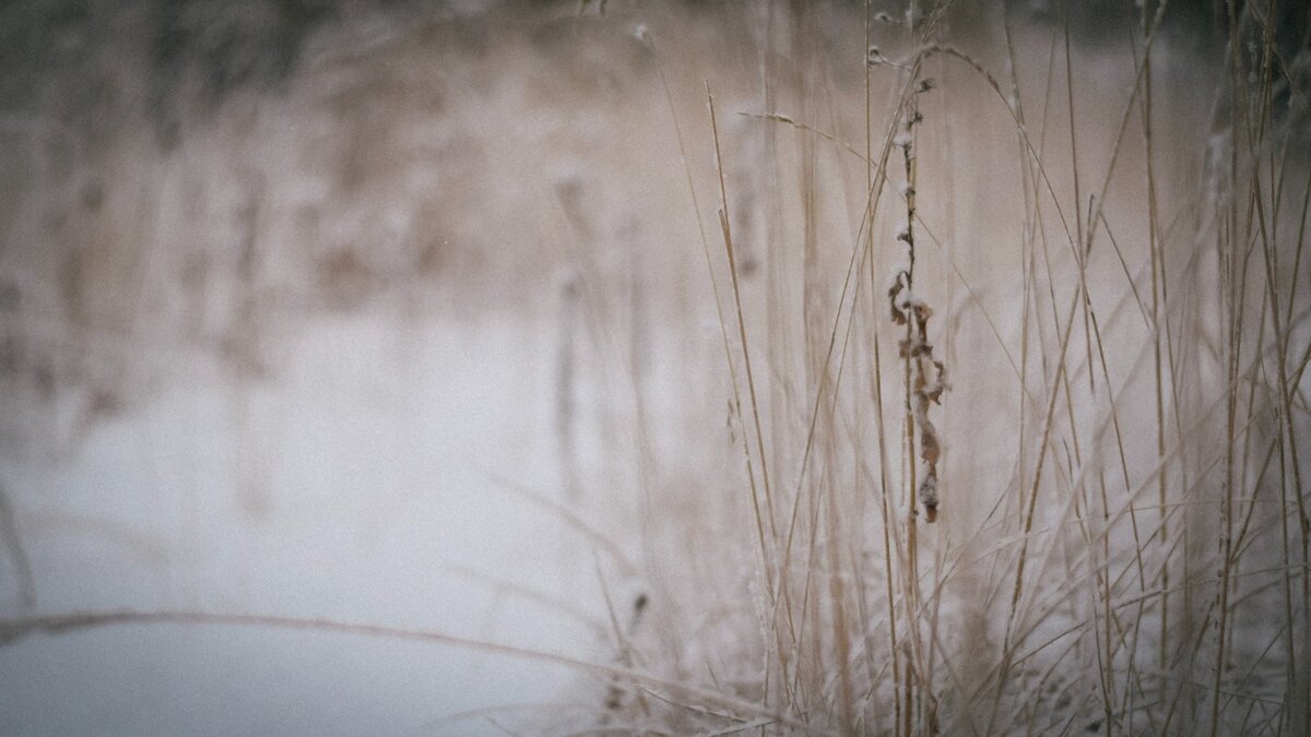     Фотографиями снежного покрова жители одного из карельских поселков поделились в соцсетях.
