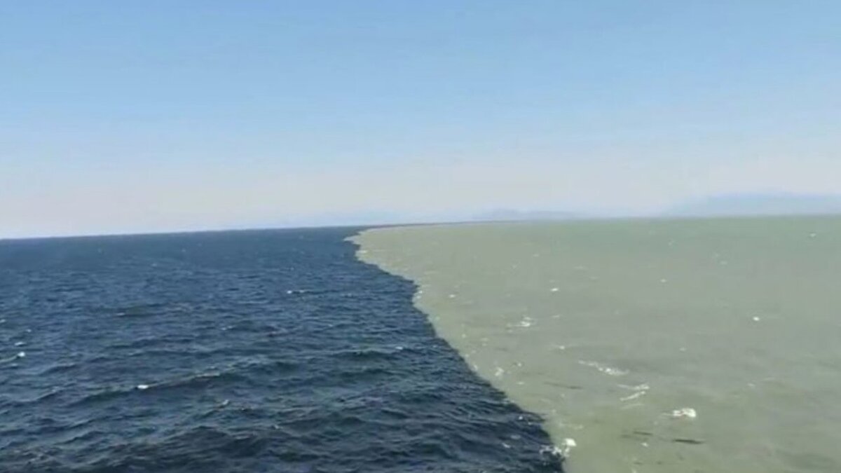 Самое малоизученное место на Земле Вода занимает 70% поверхности нашей планеты. До сих пор неизвестны все ее обитатели.-8