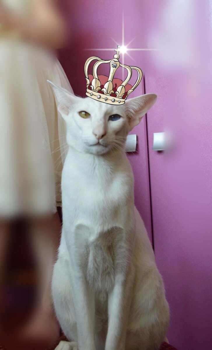 Творчество чьих-то шаловливых ручек