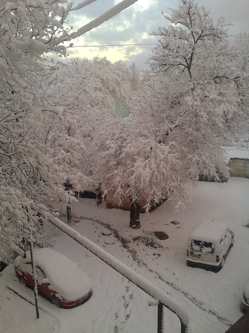 Ориби Каммпирр - Сон или жизнь, 2014, 12 (история написания)