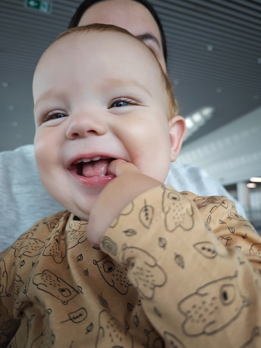 Самый главный путешественник 