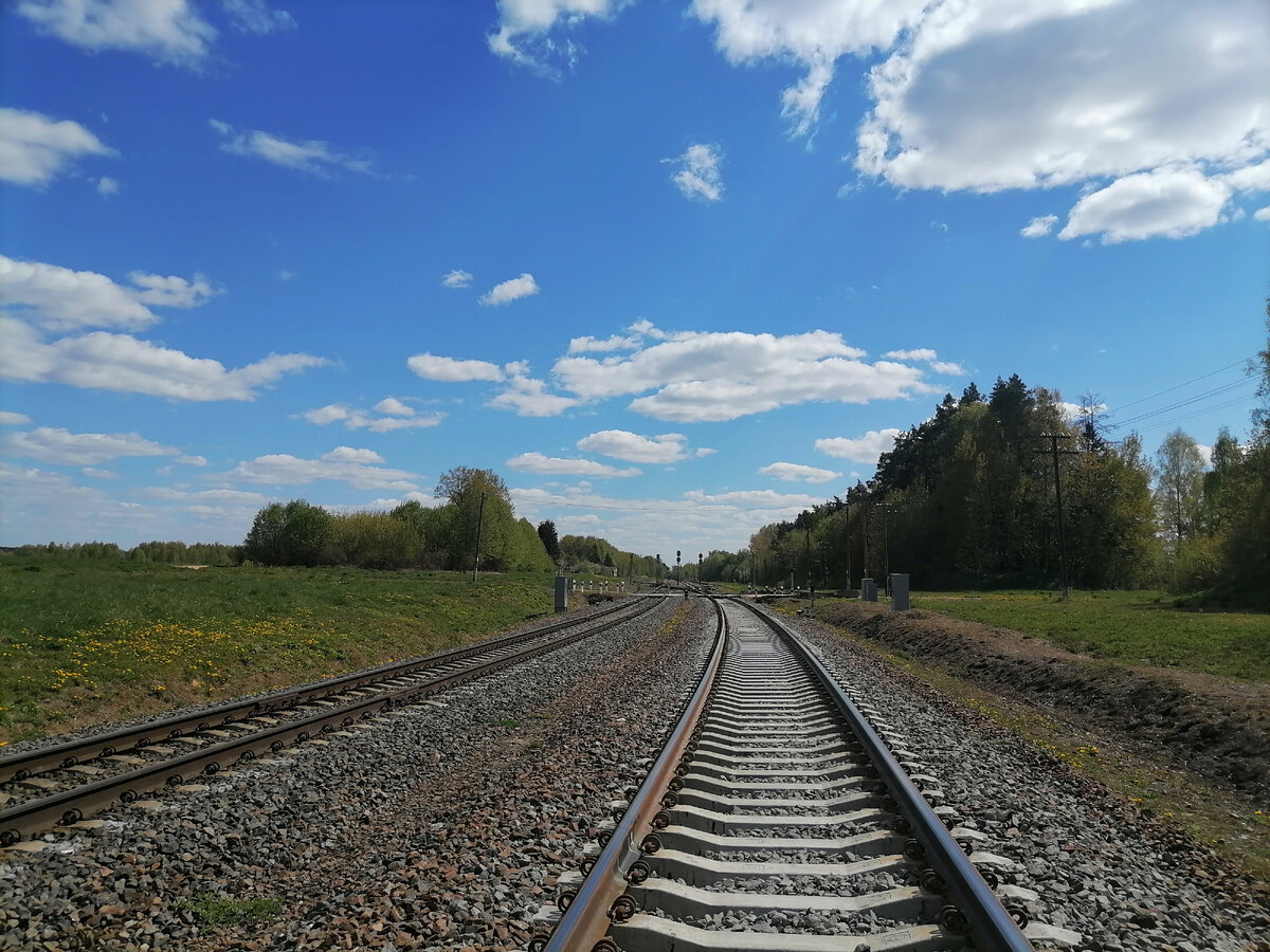 Лариса отправилась в родные места.