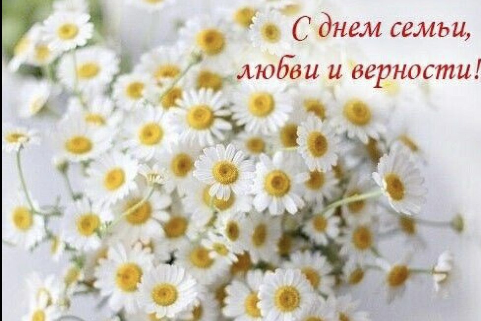 Фото из открытых источников интернета.