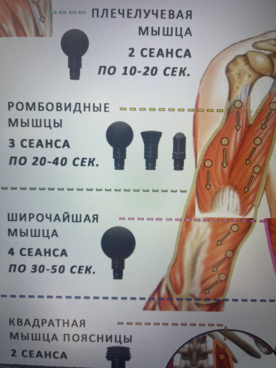 Направление движения в моей карте массажа в электронном виде