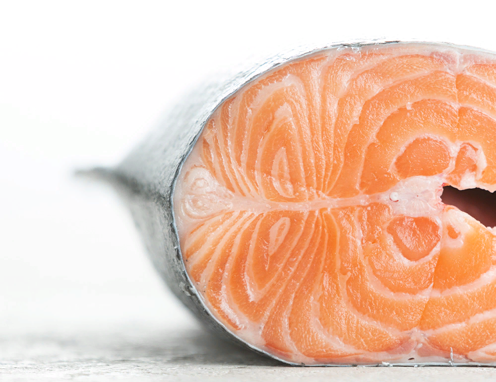 важна рыба шоссе