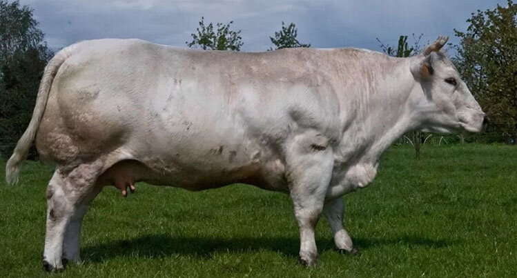                                                                         фото яндекс картинки