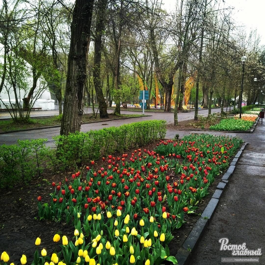 Парк революции в ростове на дону