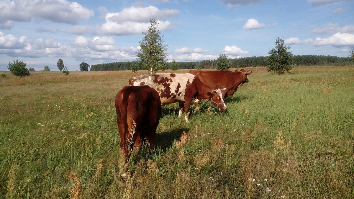 фото из личного архива