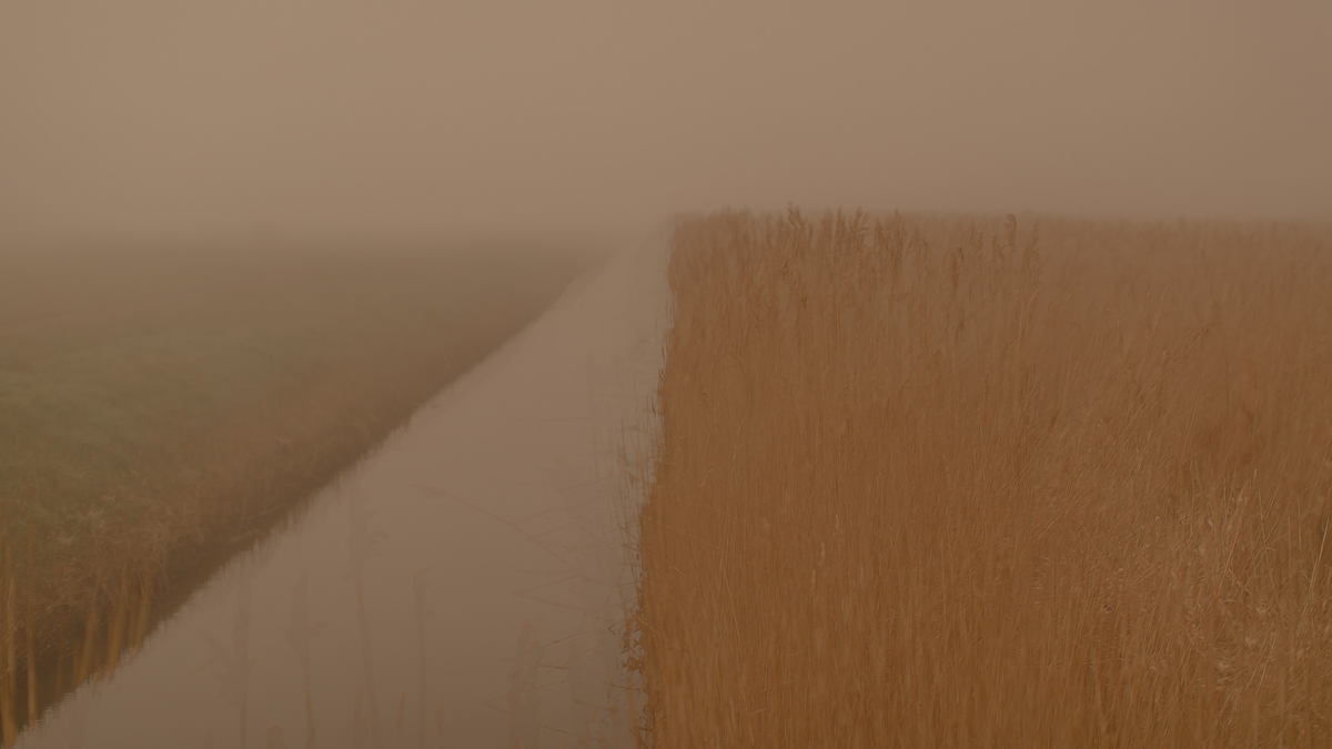 Фотография: Chris Friel