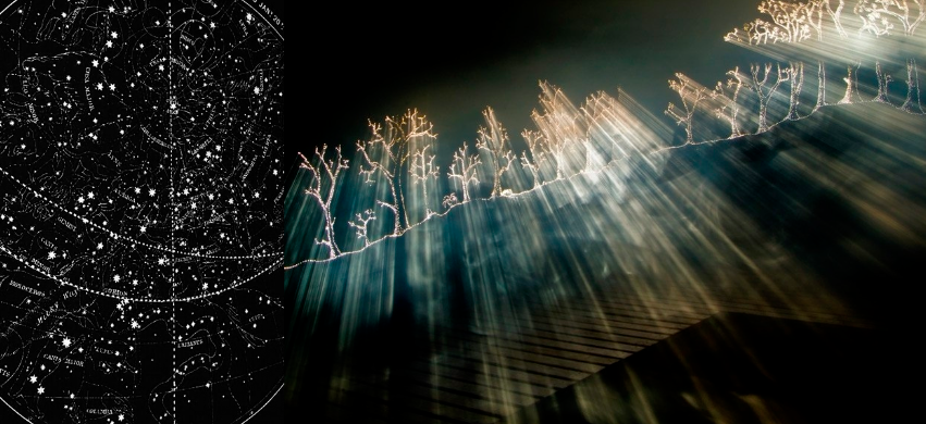 Тише воды, ниже травы, дальше звёзд, глуше света. Там, где тень